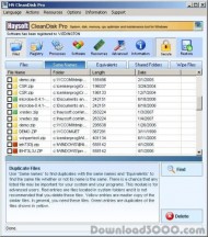 HS CleanDisk Pro screenshot